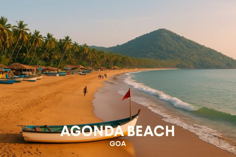 Enjoy Agonda Beach
