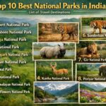 Top 10 Best National Parks in India